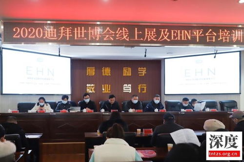 赋能企业成长，新化贸促会举办专项业务知识培训